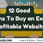 12 Reasons to buy profitable website